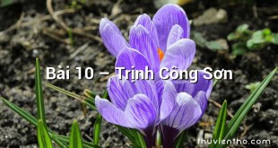 Bài 10  –  Trịnh Công Sơn