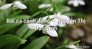 Bài ca cánh đồng  –  Nguyễn Thị Đạo Tĩnh