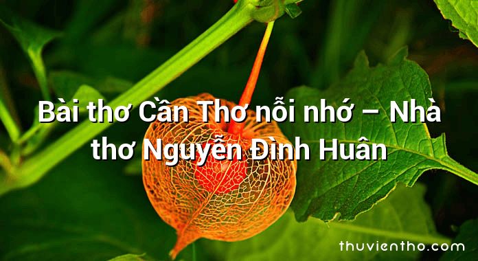 Bài thơ Cần Thơ nỗi nhớ – Nhà thơ Nguyễn Đình Huân