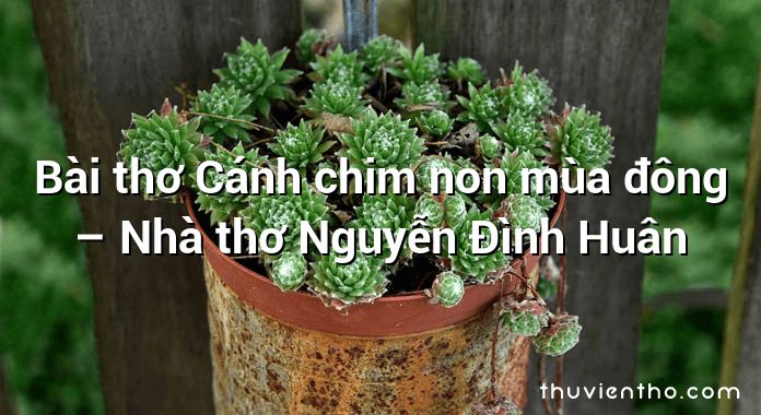 Bài thơ Cánh chim non mùa đông – Nhà thơ Nguyễn Đình Huân