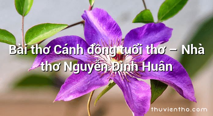 Bài thơ Cánh đồng tuổi thơ – Nhà thơ Nguyễn Đình Huân