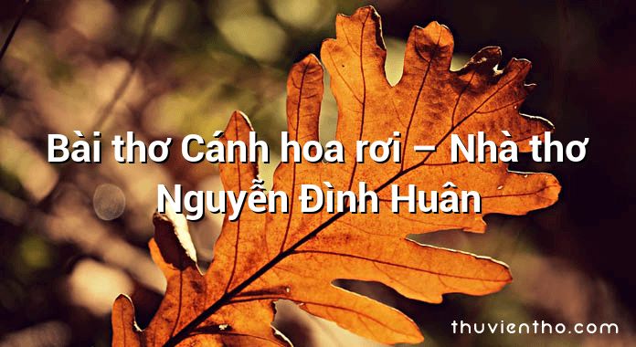Bài thơ Cánh hoa rơi – Nhà thơ Nguyễn Đình Huân