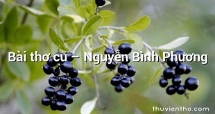Bài thơ cũ  –  Nguyễn Bình Phương