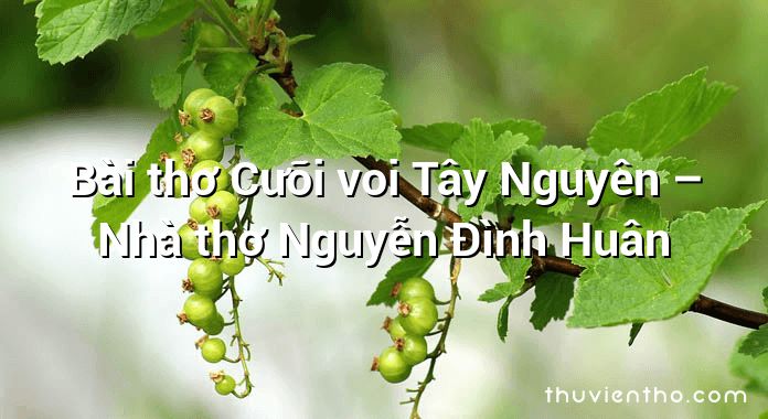 Bài thơ Cưỡi voi Tây Nguyên – Nhà thơ Nguyễn Đình Huân