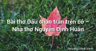 Bài thơ Dấu chân trần trên cỏ – Nhà thơ Nguyễn Đình Huân