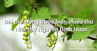 Bài thơ Đứng trước biển chiều thu – Nhà thơ Nguyễn Đình Huân
