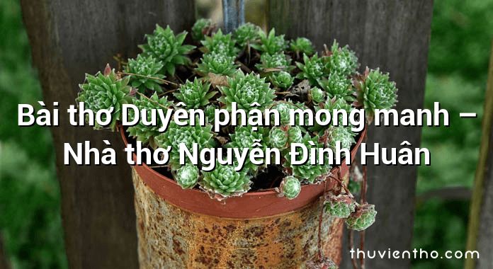 Bài thơ Duyên phận mong manh – Nhà thơ Nguyễn Đình Huân