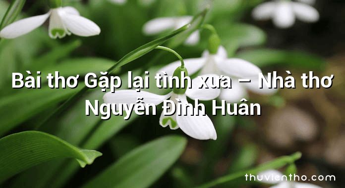 Bài thơ Gặp lại tình xưa – Nhà thơ Nguyễn Đình Huân