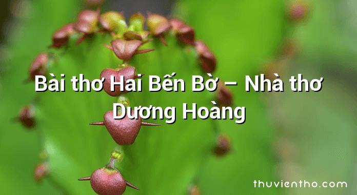 Bài thơ Hai Bến Bờ – Nhà thơ Dương Hoàng