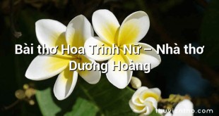 Bài thơ Hoa Trinh Nữ – Nhà thơ Dương Hoàng