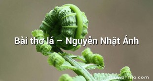 Bài thơ lá  –  Nguyễn Nhật Ánh