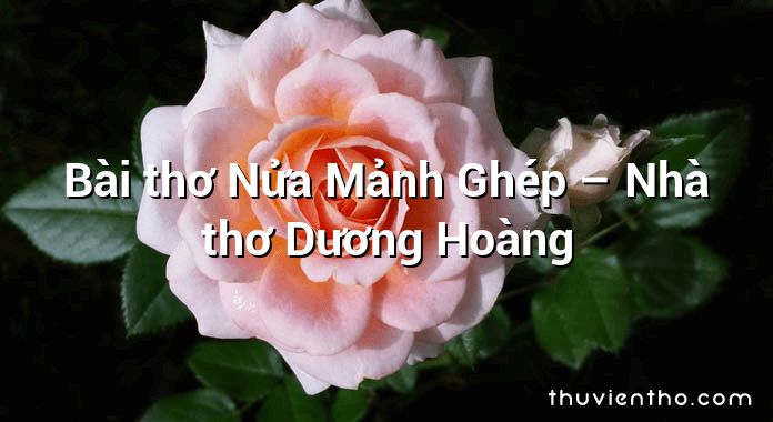 Bài thơ Nửa Mảnh Ghép – Nhà thơ Dương Hoàng