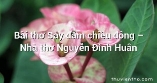 Bài thơ Say đắm chiều đông – Nhà thơ Nguyễn Đình Huân