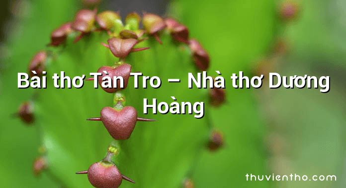 Bài thơ Tàn Tro – Nhà thơ Dương Hoàng
