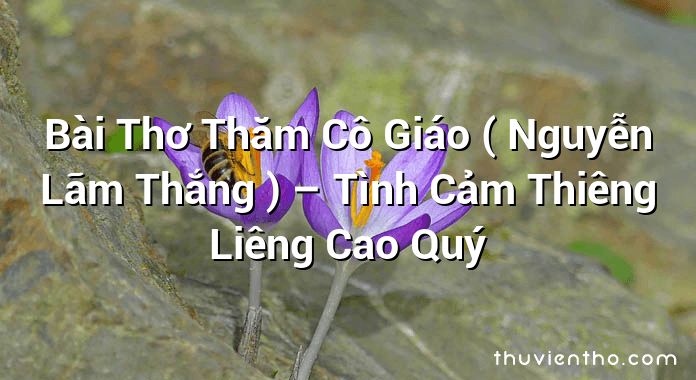 Bài Thơ Thăm Cô Giáo ( Nguyễn Lãm Thắng ) – Tình Cảm Thiêng Liêng Cao Quý