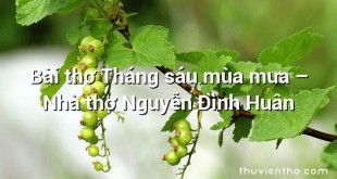 Bài thơ Tháng sáu mùa mưa – Nhà thơ Nguyễn Đình Huân