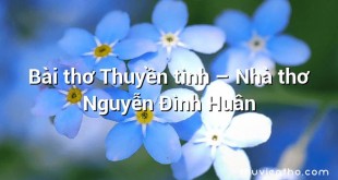 Bài thơ Thuyền tình – Nhà thơ Nguyễn Đình Huân