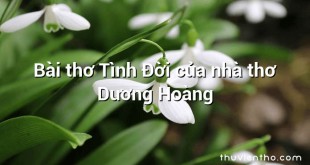 Bài thơ Tình Đời của nhà thơ Dương Hoàng