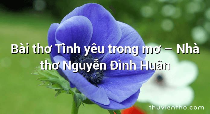 Bài thơ Tình yêu trong mơ – Nhà thơ Nguyễn Đình Huân