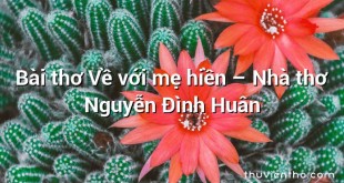 Bài thơ Về với mẹ hiền – Nhà thơ Nguyễn Đình Huân