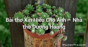 Bài thơ Xin Hiểu Cho Anh – Nhà thơ Dương Hoàng