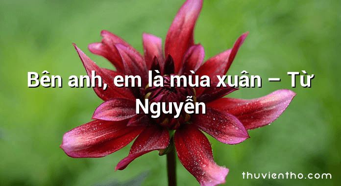 Bên anh, em là mùa xuân – Từ Nguyễn