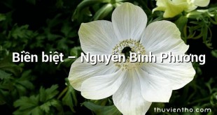 Biền biệt  –  Nguyễn Bình Phương