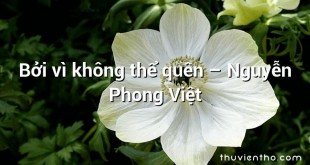 Bởi vì không thể quên  –  Nguyễn Phong Việt
