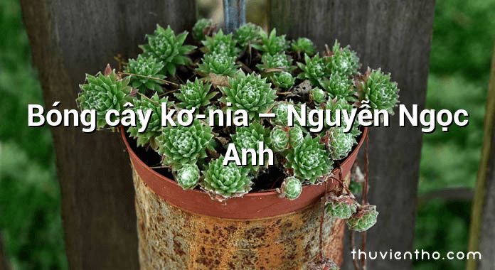 Bóng cây kơ-nia – Nguyễn Ngọc Anh