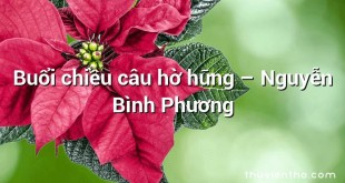 Buổi chiều câu hờ hững  –  Nguyễn Bình Phương