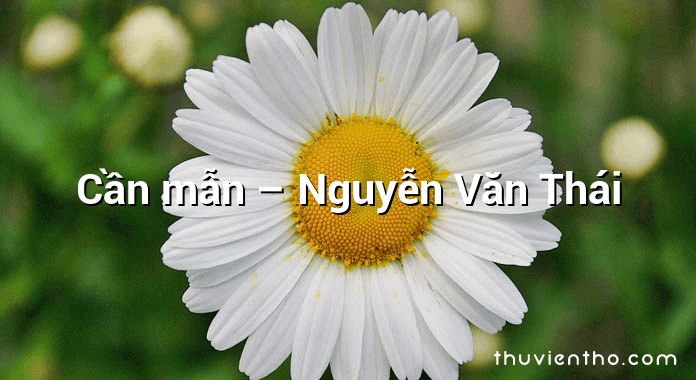 Cần mẫn – Nguyễn Văn Thái