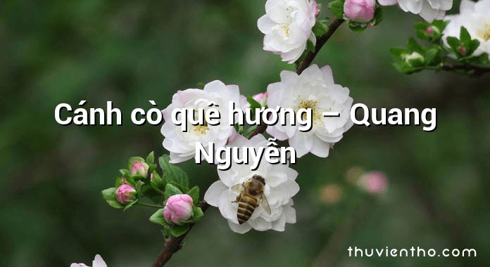 Cánh cò quê hương – Quang Nguyễn