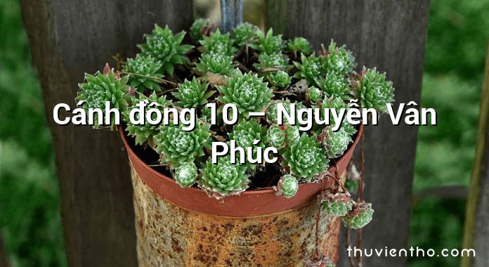 Cánh đồng 10  –  Nguyễn Vân Phúc