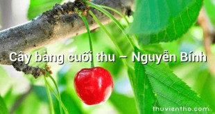 Cây bàng cuối thu – Nguyễn Bính