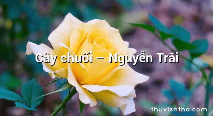 Cây chuối – Nguyễn Trãi