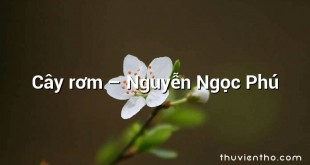 Cây rơm  –  Nguyễn Ngọc Phú