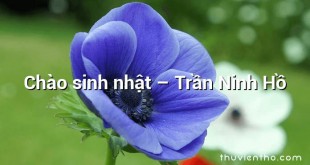 Chào sinh nhật  –  Trần Ninh Hồ