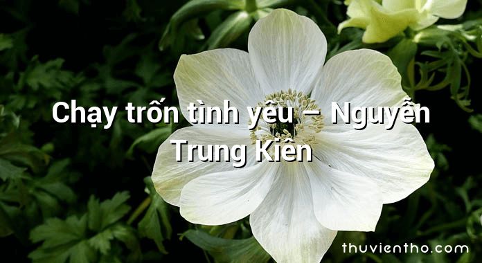 Chạy trốn tình yêu – Nguyễn Trung Kiên