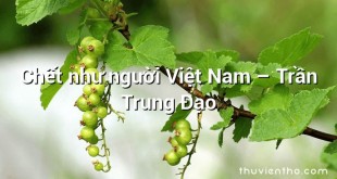 Chết như người Việt Nam  –  Trần Trung Đạo