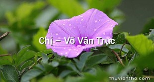 Chị  –  Võ Văn Trực