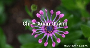 Chị – Xuân Quỳnh