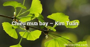 Chiều mưa bay  –  Kim Tuấn