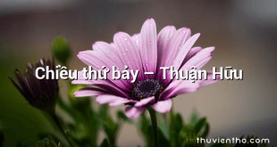 Chiều thứ bảy – Thuận Hữu