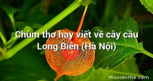 Chùm thơ hay viết về cây cầu Long Biên (Hà Nội)