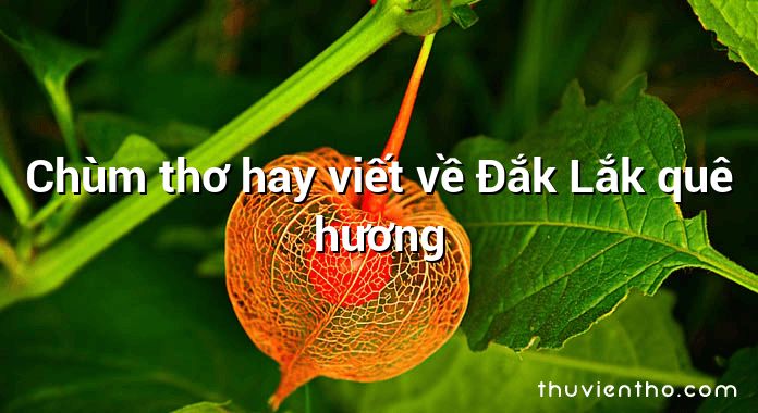 Chùm thơ hay viết về Đắk Lắk quê hương