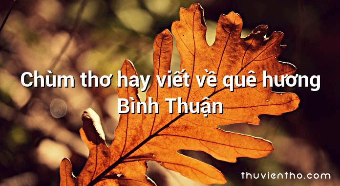 Chùm thơ hay viết về quê hương Bình Thuận