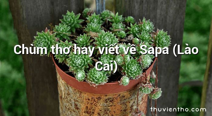 Chùm thơ hay viết về Sapa (Lào Cai)