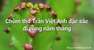 Chùm thơ Trần Việt Anh đặc sắc đi cùng năm tháng