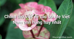Chùm thơ viết về các bà Mẹ Việt Nam anh hùng hay nhất