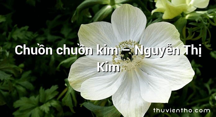 Chuồn chuồn kim – Nguyễn Thị Kim